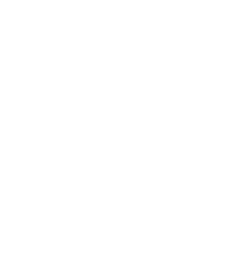 The Fellows Project